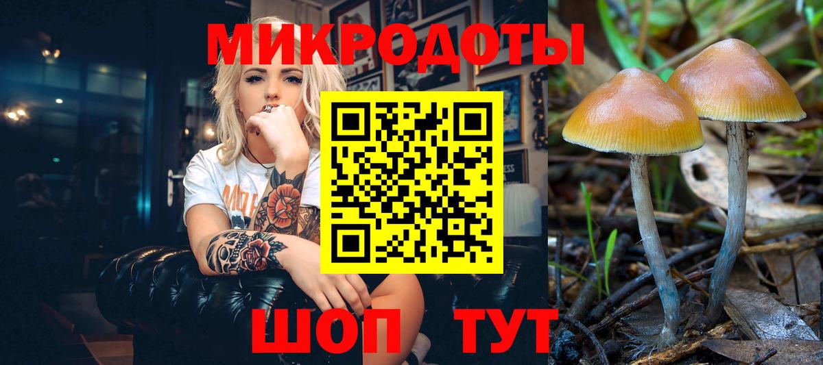 Галлюциногенные грибы мицелий  Псилоцибиновые грибы Psilocybine cubensis  Дзержинск  Вход с VPN 