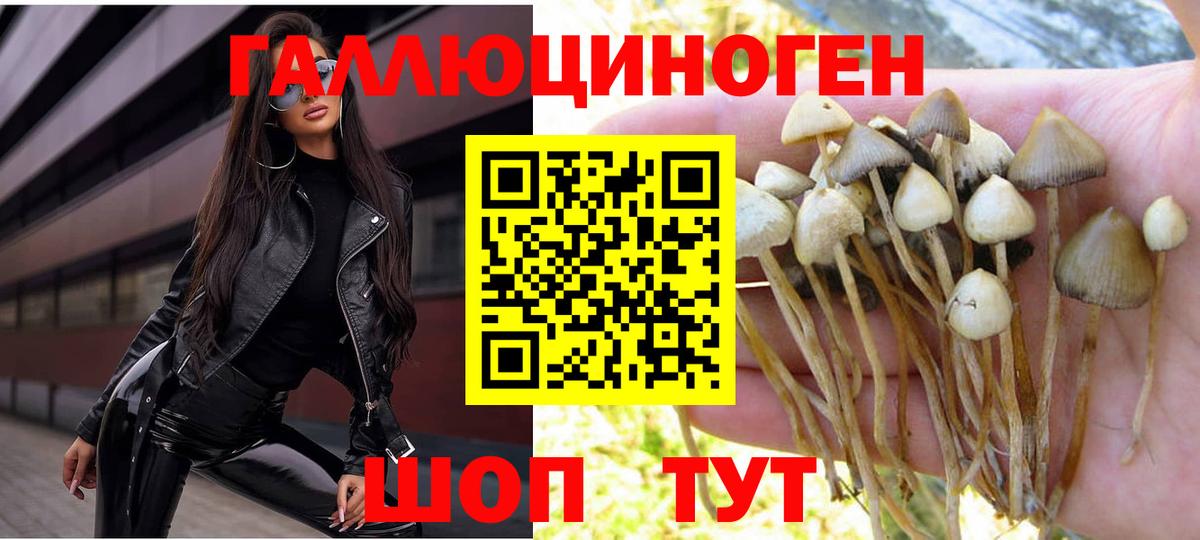 Галлюциногенные грибы прущие грибы Дзержинск