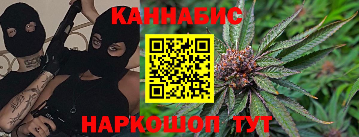 Шишки марихуана марихуана  Марихуана тримм  Вход с VPN  Дзержинск  Конопля марихуана 